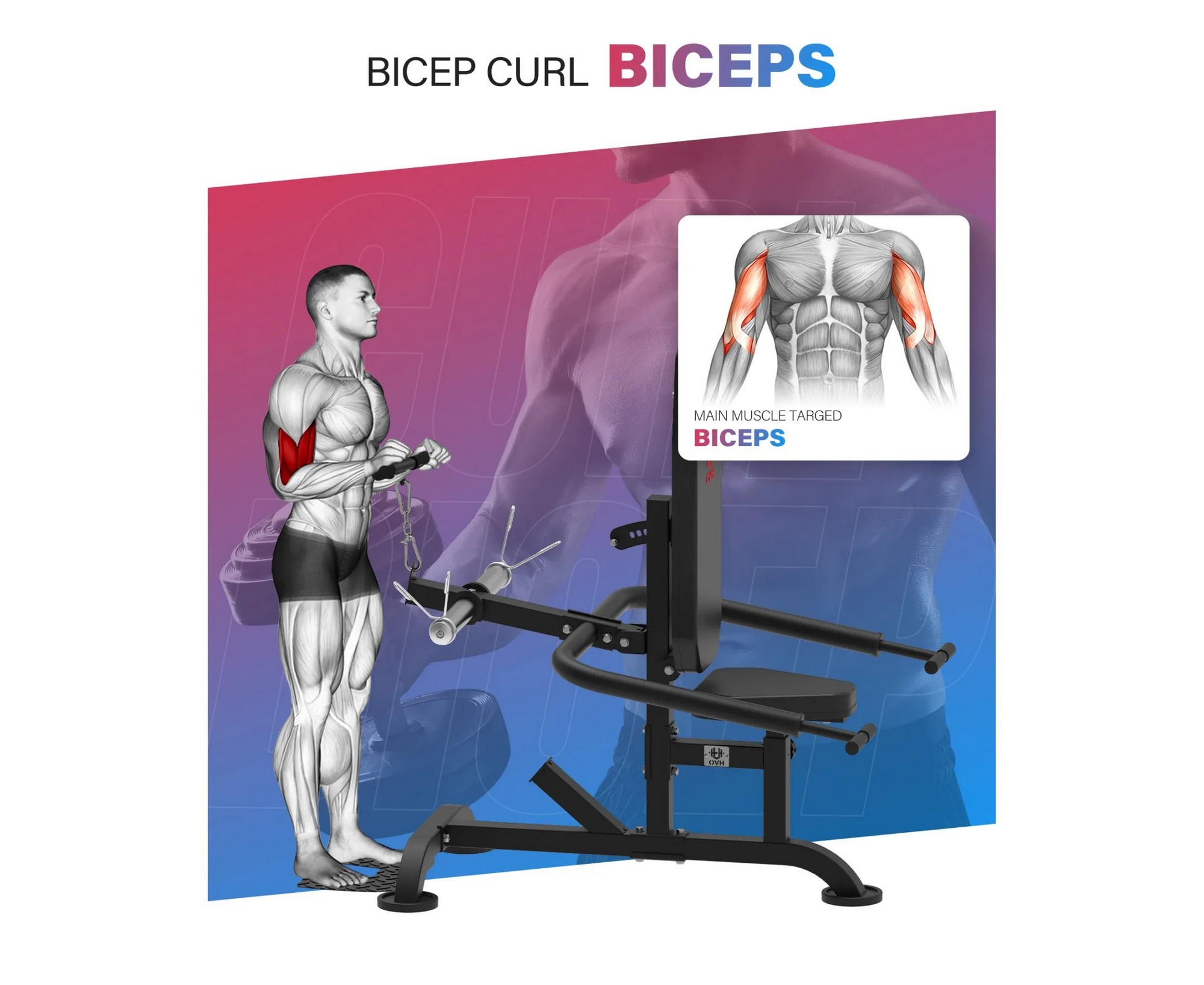 Тренажер для трицепса DFC D2003A
 | Premium Fitness