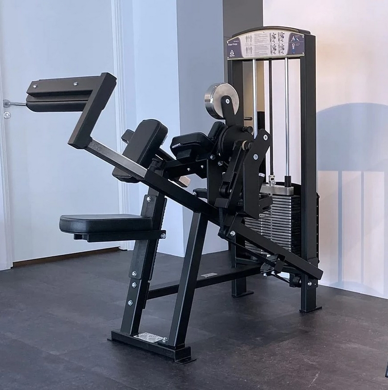 Gymleco 355 Бицепс/Трицепс | Premium Fitness
