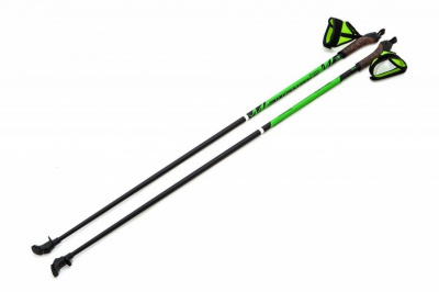 Палки для ходьбы STC EXTREME GREEN