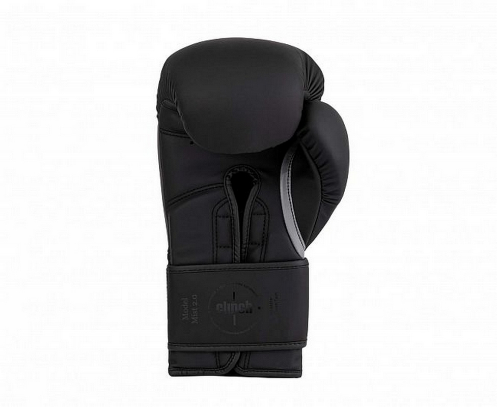 Перчатки боксерские Clinch Mist 2.0 C183 черный