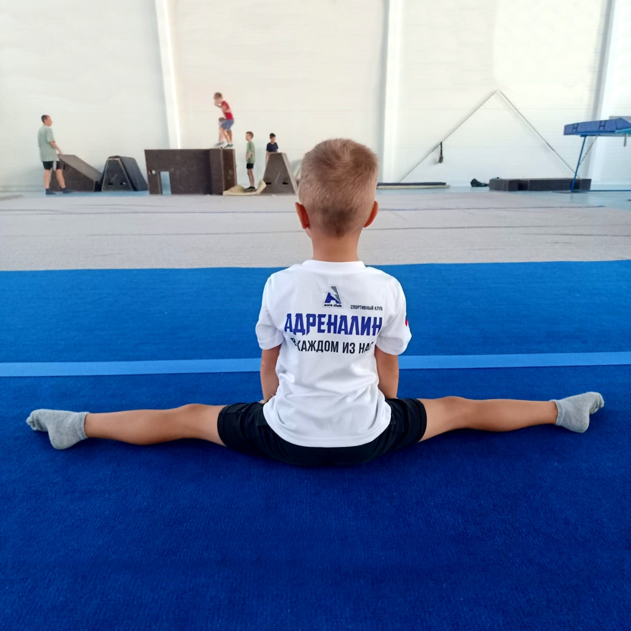 Ковер для спортивной гимнастики GymSport 14x14 Толщина 38 мм