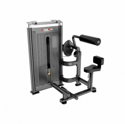 UltraGym UG-IN1917 разгибание спины
