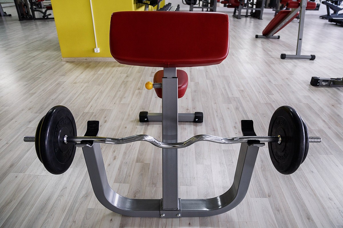 Парта для бицепса Impulse IFSPC (Скамья Скотта) | Premium Fitness
