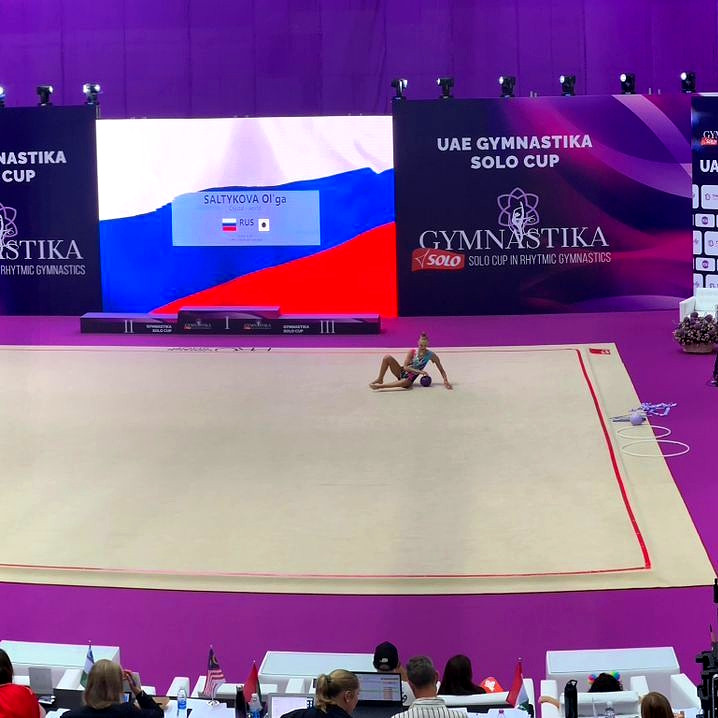 Ковер гимнастический GymSport PROF PREMIUM 4х2м