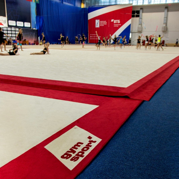 Ковер для эстетической гимнастики GymSport PROF PREMIUM RED 14Х14