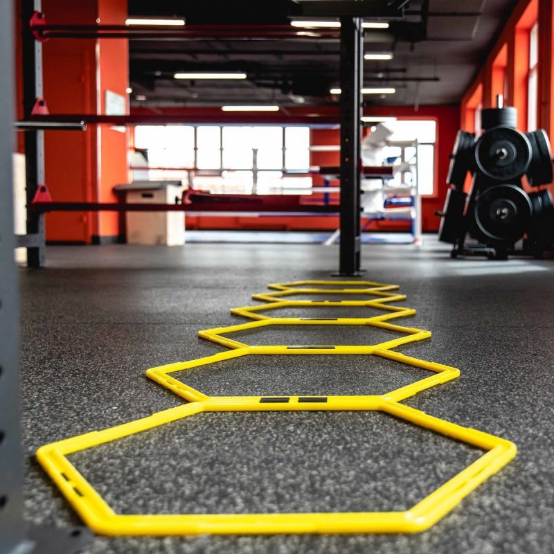 Лестница для функциональных тренировок Profi-Fit