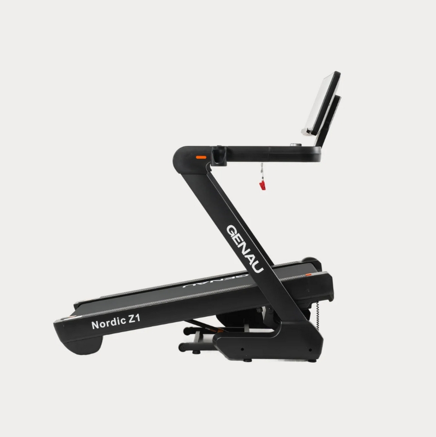Электрическая беговая дорожка Genau Nordic Z1