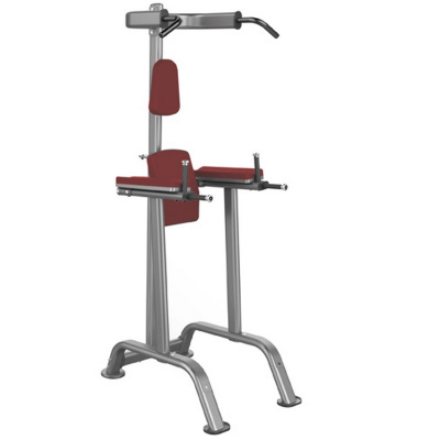Поднятие коленей\брусья\турник Aerofit Impulse IT7010 + IT7010 OPT