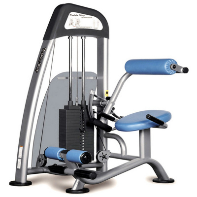 Vertex NWS 173 Разгибание спины сидя | Premium Fitness
