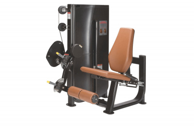 UltraGym LS-115: Разгибание ног
