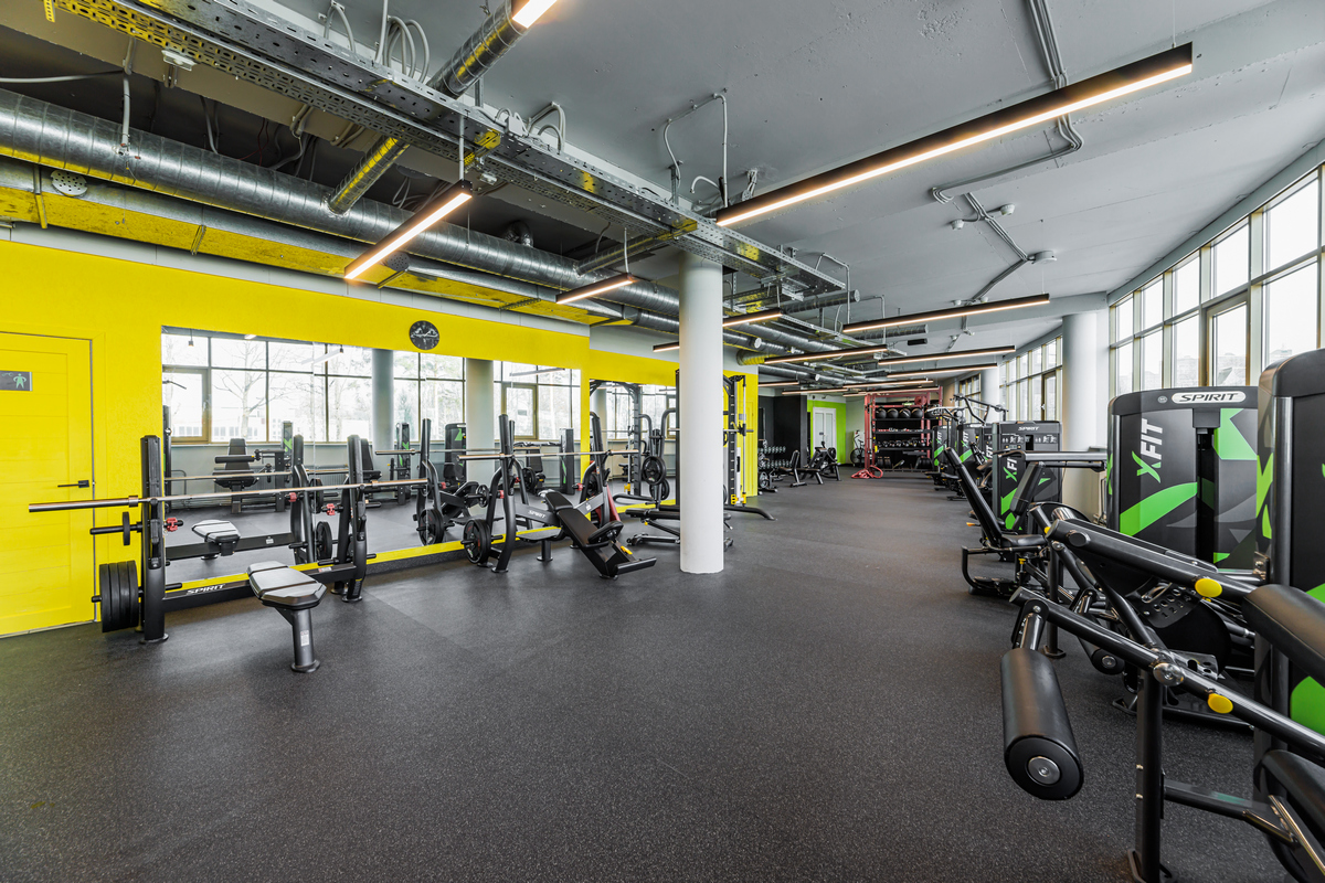 Олимпийская скамья горизонтальная SPIRIT SP-4209 | Premium Fitness