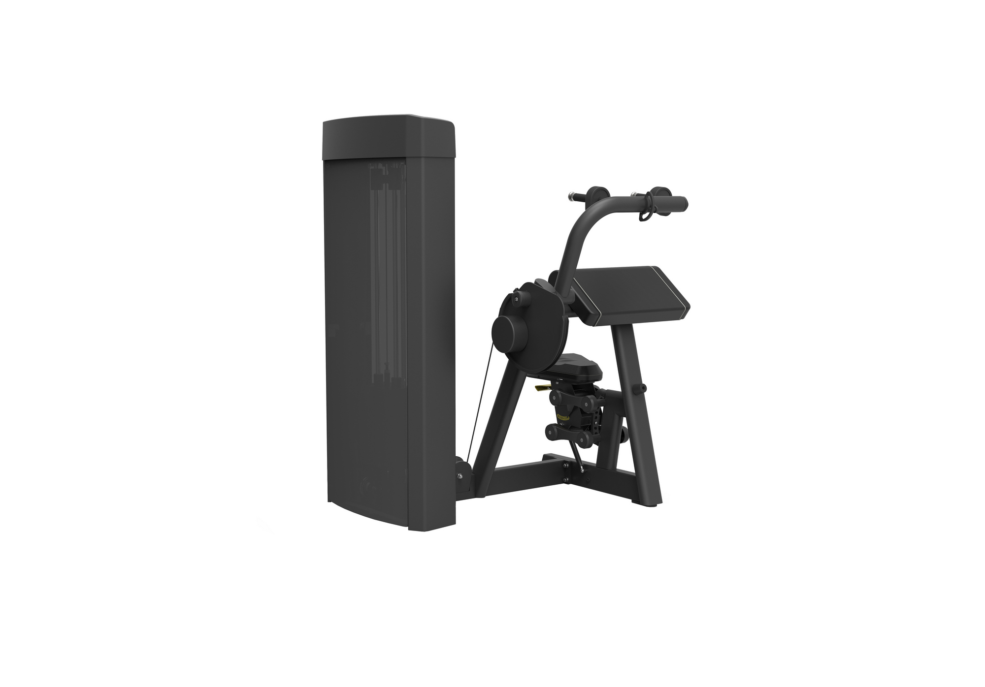 SPIRIT SP-4308 Трицепс