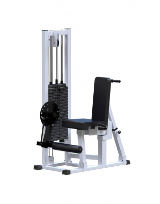 Сгибание и разгибание ног ARMS AR053.2 (стек 100 кг) | Premium Fitness