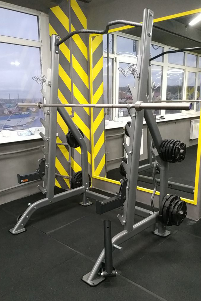 Стойка для жимов и приседов Hasttings Digger HD019-6 | Premium Fitness
