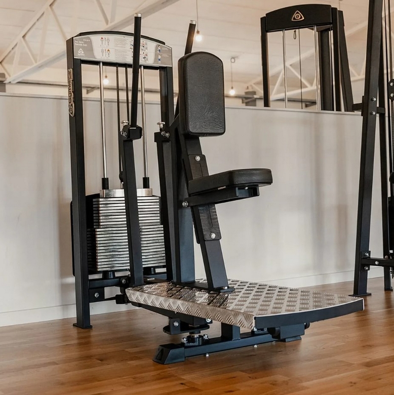 Gymleco 333 Задняя дельта | Premium Fitness