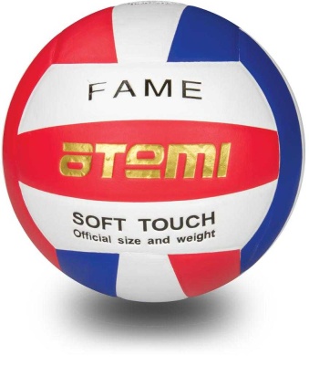 Мяч волейбольный Atemi Fame р.5