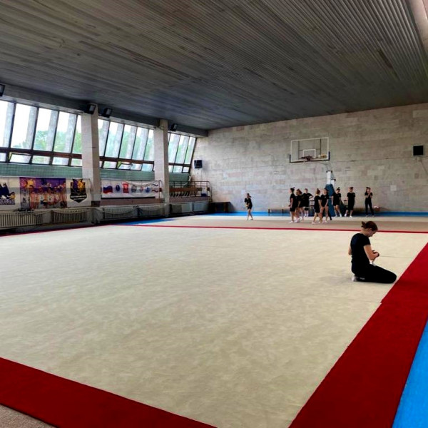 Ковер для эстетической гимнастики GymSport PROF PREMIUM RED 14Х14