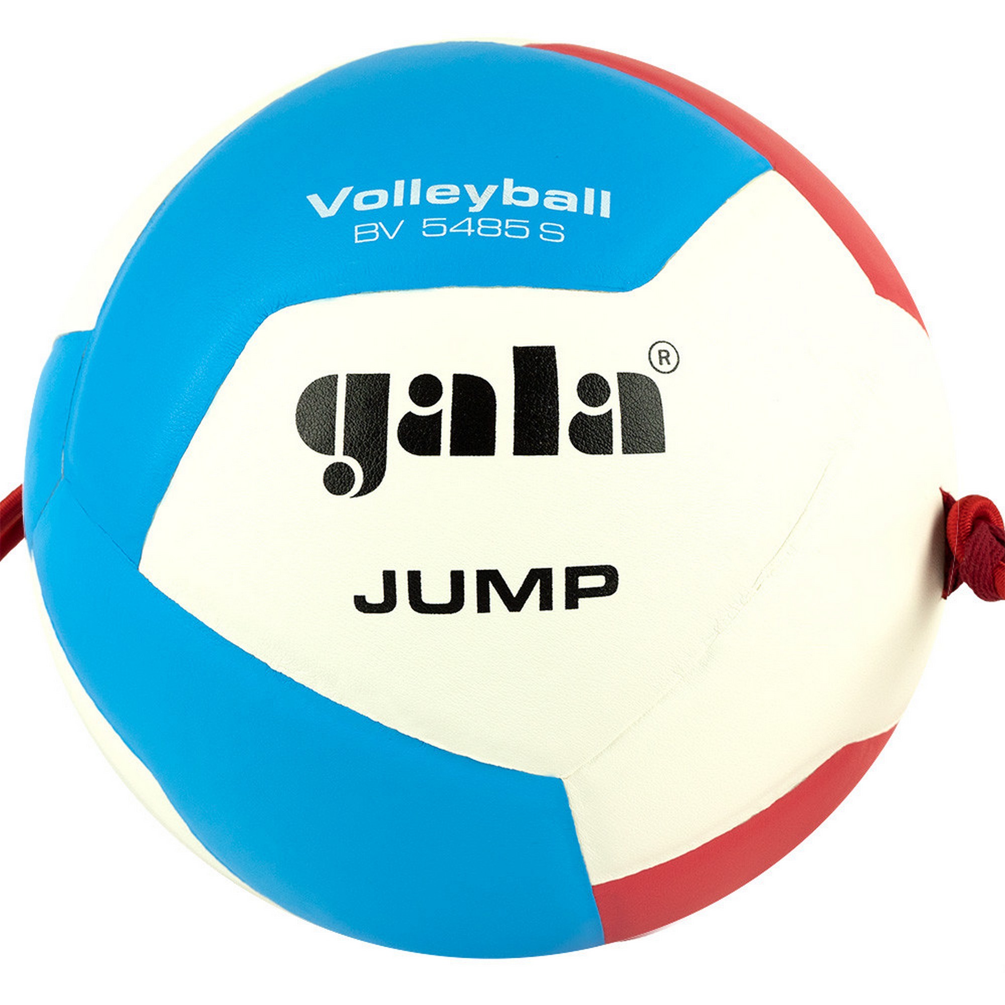 Мяч волейбольный на растяжках Gala Jump 12 BV5485S р.5