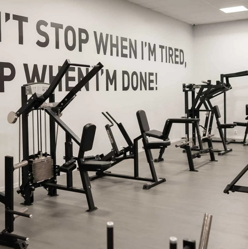 Верхняя тяга Gymleco 311 для тренажерного зала | Premium Fitness