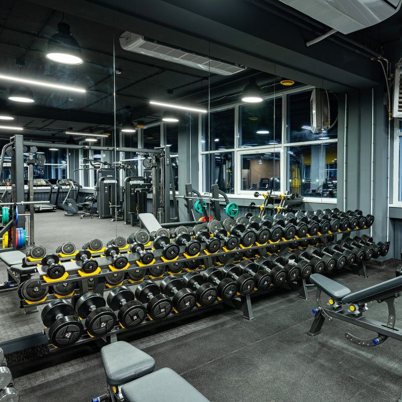 Гантельный ряд 2,5-25 кг Profi-Fit Power (шаг 2,5 кг, 10 пар)