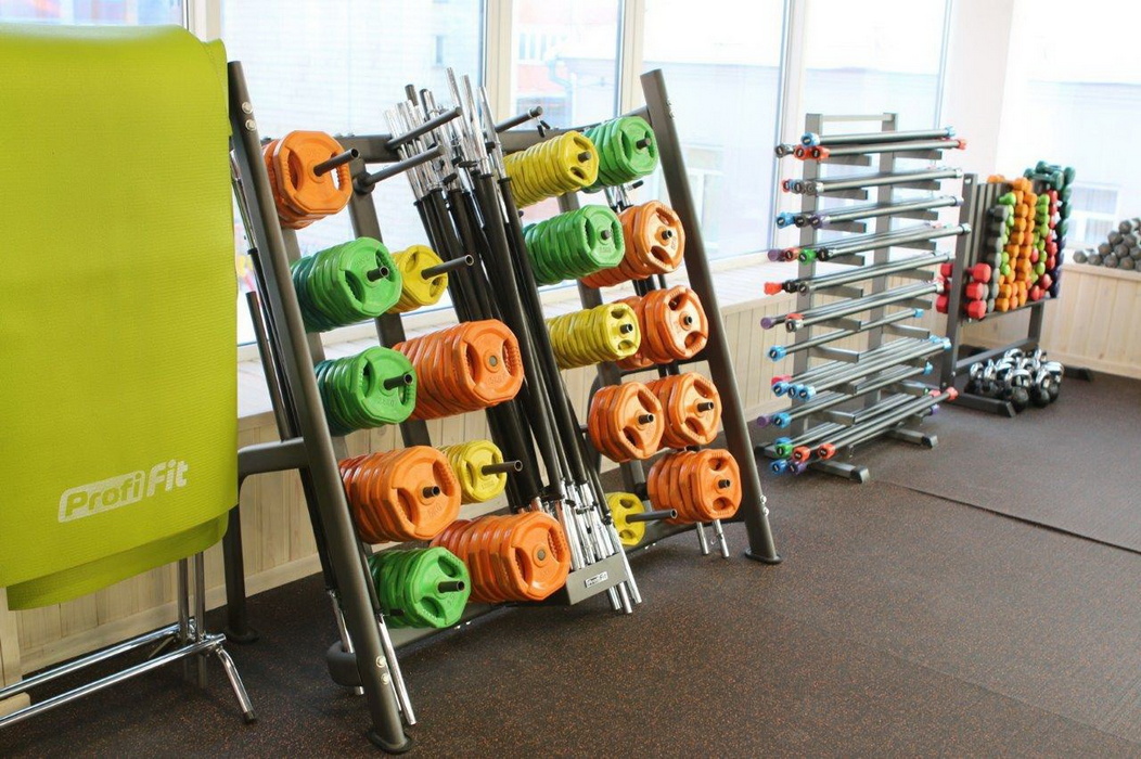 Штанга для аэробики и обрезиненные диски по 2 шт (1,25-2,5-5 кг) Profi-Fit