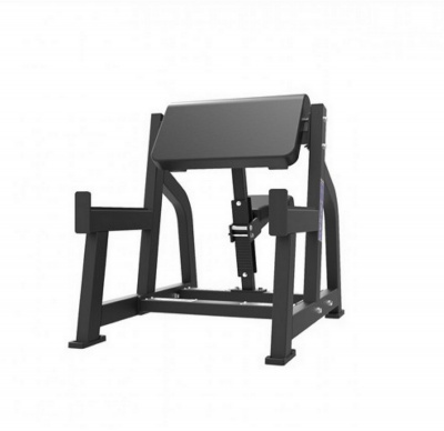UltraGym UG-XM 658 Бицепс сидя