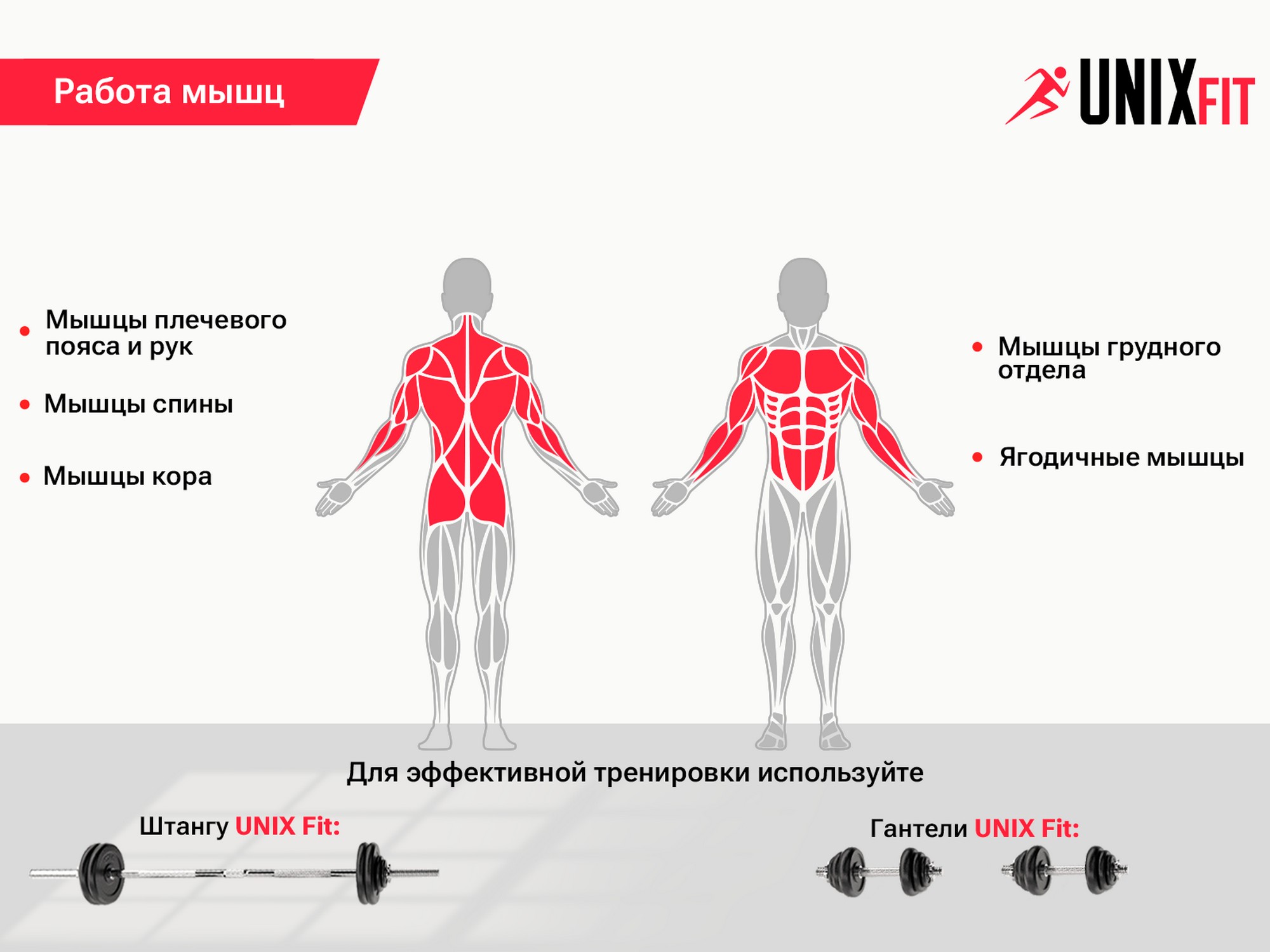 Скамья силовая универсальная UnixFit BENCH 130 BSBN130 | Premium Fitness