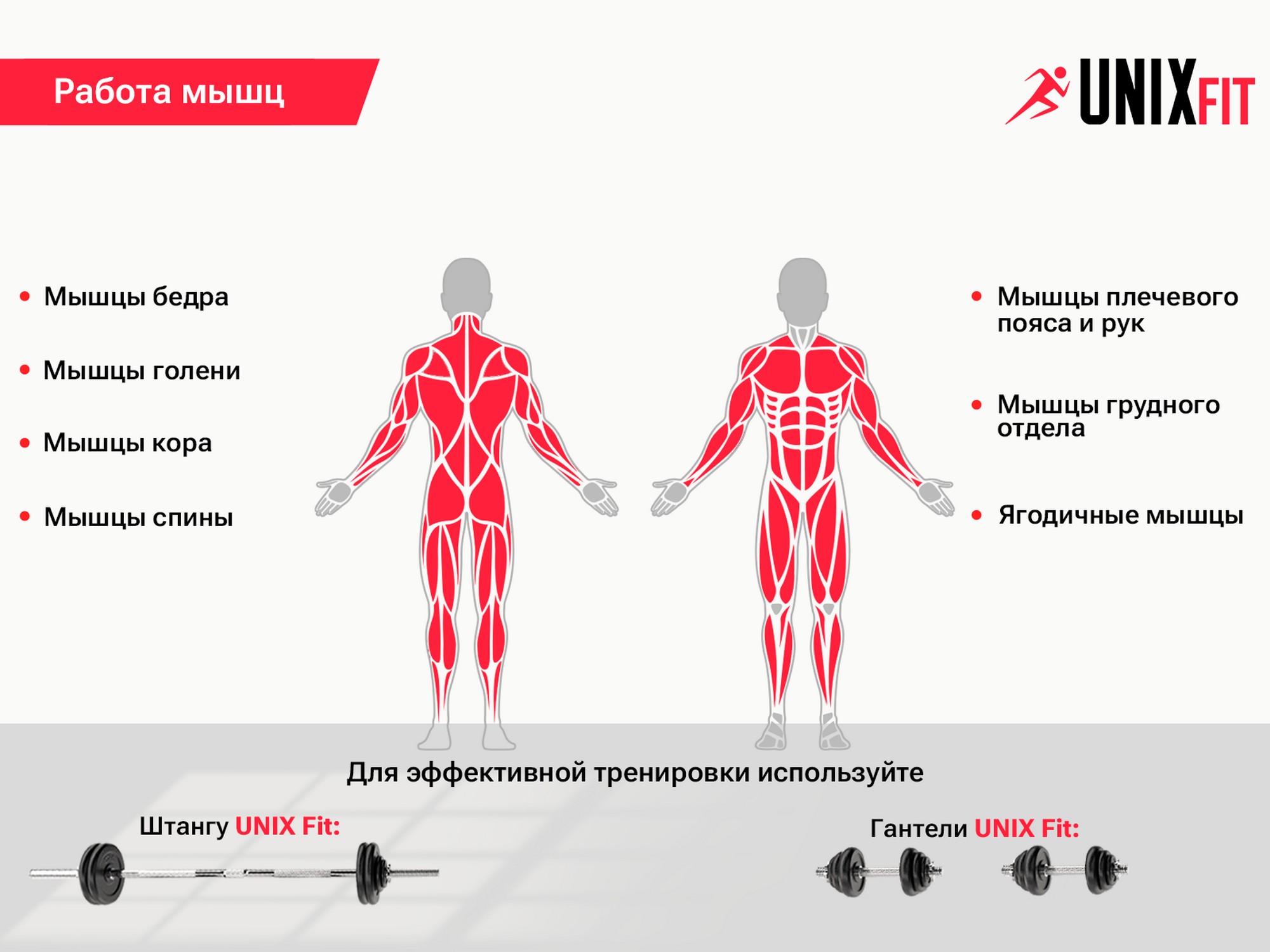 Скамья силовая со стойками UnixFit BENCH 120 BSBN120 | Premium Fitness