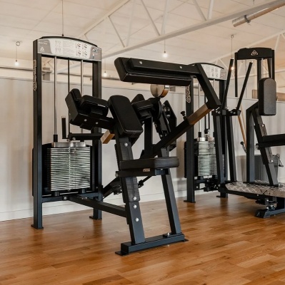 Gymleco 355 Бицепс/Трицепс | Premium Fitness