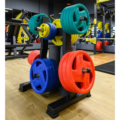 Диск обрезиненный цветной Fassion D51мм 25 кг Profi-Fit