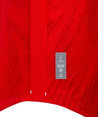 Футболка игровая Jogel NATIONAL PerFormDRY Home Jersey, красный