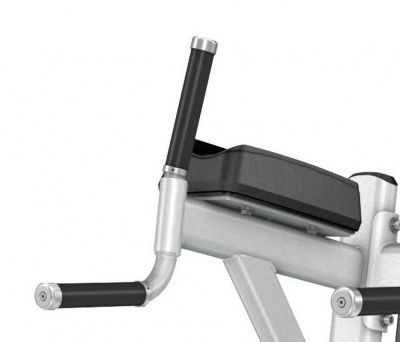 Подъем коленей\брусья Precor DBR702