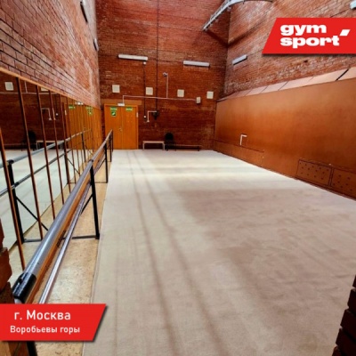 Ковер для эстетической гимнастики GymSport PROF 14Х14