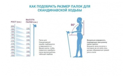 Палки для ходьбы треккинговые раздвижные с резиновой ручкой 115-135 см Techteam TT YETI NN009014 white