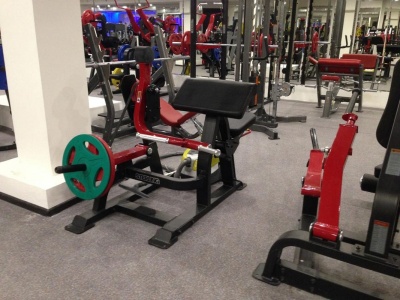 Impulse SL7023 Бицепс сидя | Premium Fitness