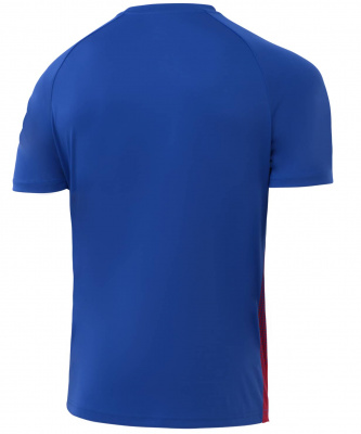 Футболка игровая Jogel Camp Striped Jersey, красный/синий
