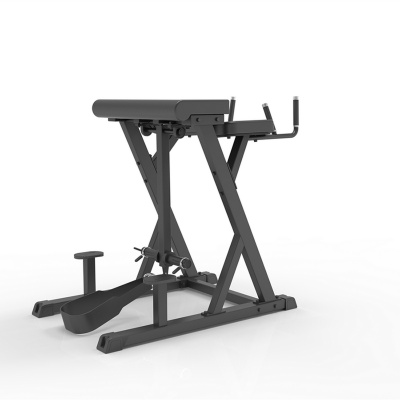 Impulse IFP1619 Обратная гиперэкстензия