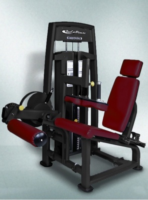 BenCarFitness TS-P043 Сгибание ног