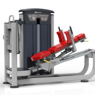 Impulse IT9539: Жим ногами и Гак-машина 2 в 1, профессиональный тренажер | Premium Fitness