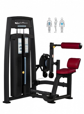 Комбинированный пресс для спины BenCarFitness TS-P049