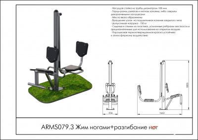 Жим ногами+разгибание ног ARMS ARMS079.3