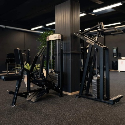 Gymleco 347 Голень стоя | Premium Fitness