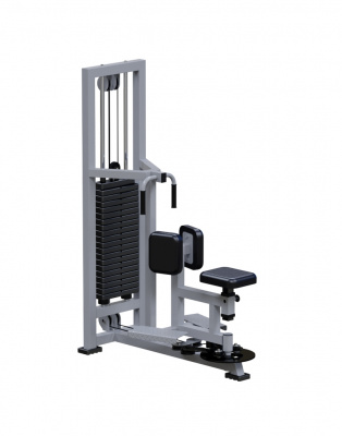 Торс-машина ARMS ARM051 | Premium Fitness