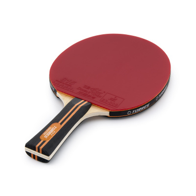 Ракетка для настольного тенниса Torres Master 3* TT23007