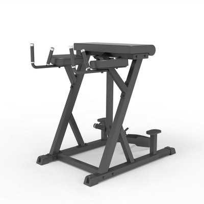 Impulse IFP1619 Обратная гиперэкстензия