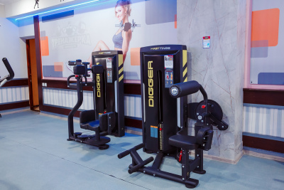 Сгибание и разгибание спины Hasttings Digger HD009-1 | Premium Fitness