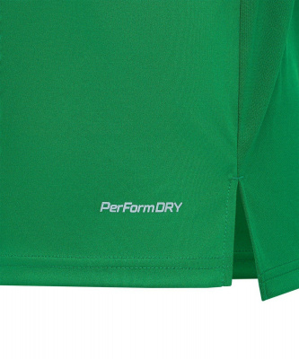 Футболка игровая Jogel DIVISION PerFormDRY Union Jersey, зеленый