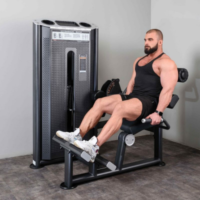 DHZ U2031 Разгибание спины