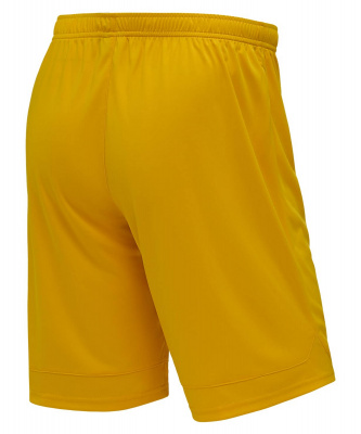 Шорты игровые Jogel DIVISION PerFormDRY Union Shorts, желтый