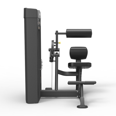 SPIRIT SP-4609 Пресс-разгибание спины